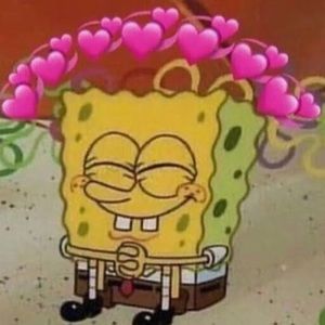 Meet your Posher, Ella